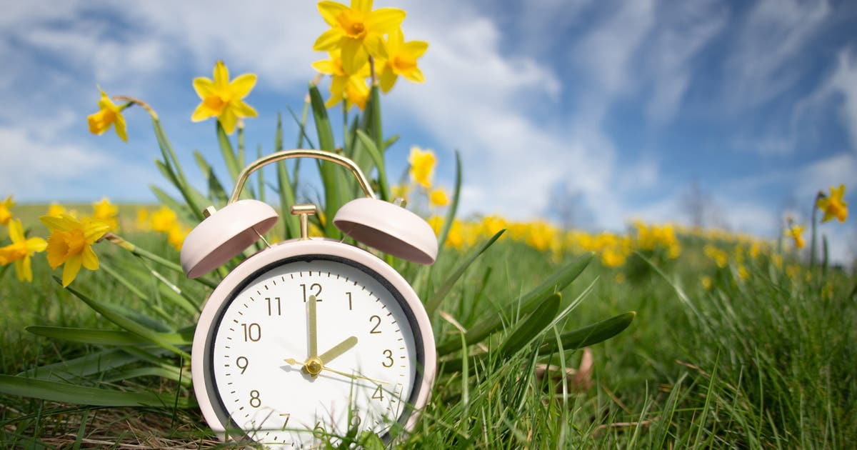 Daylight Savings 2026